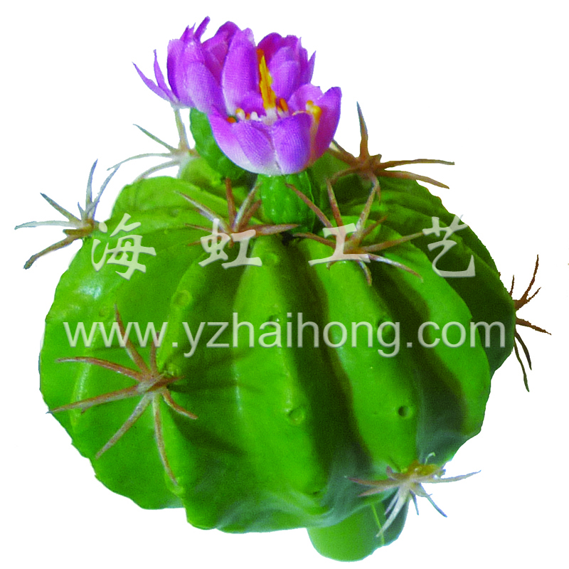 仿真仙人球 (4)